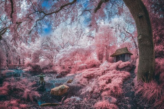Infrared Japanese Garden