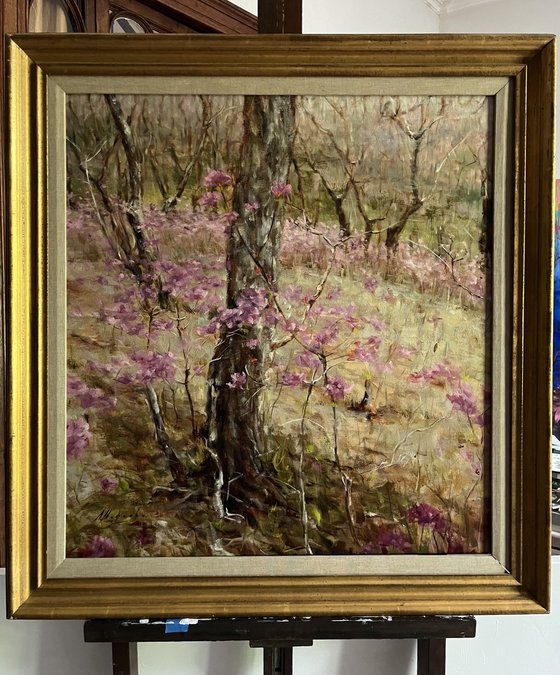 SPRING IN THE FOREST