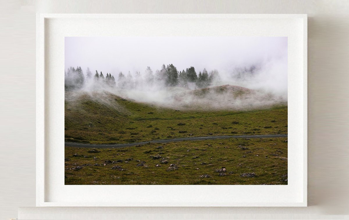 Misty by Michaella Homolov