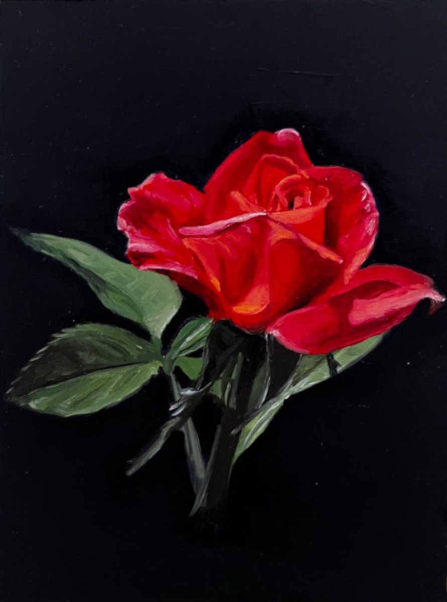 Photorealistic Oil Painting , Crimson Study: Red Rose Oil On Gesso Board By Angelo Di Carlo, 9 X 12, Artwork For Sale On Artfinder