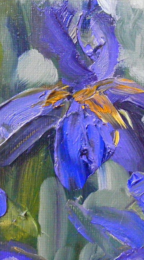 Garden Irises by Melanie Cambridge