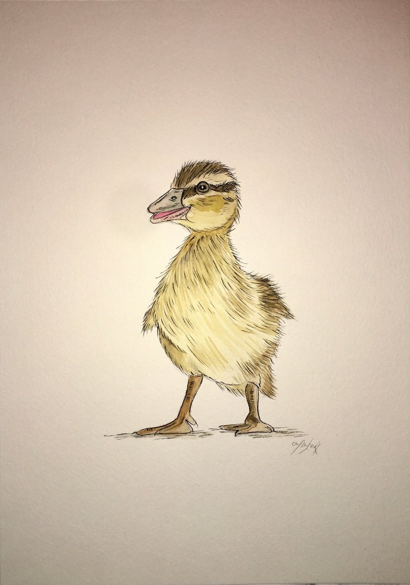 Duckling painting by Amelia Taylor