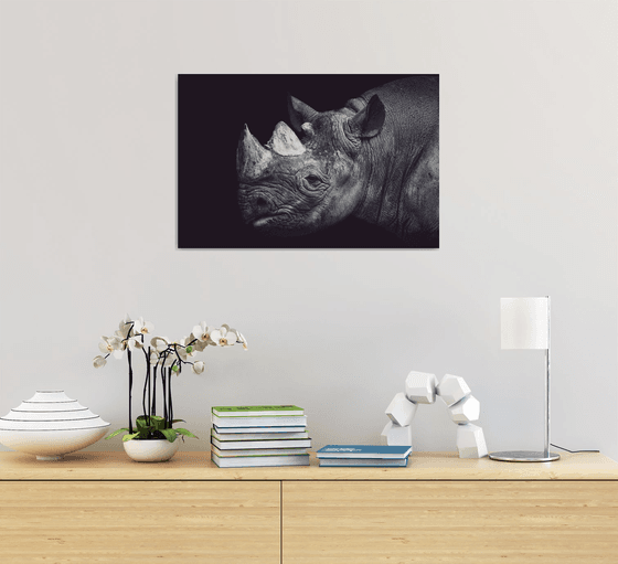 Rhino close portait