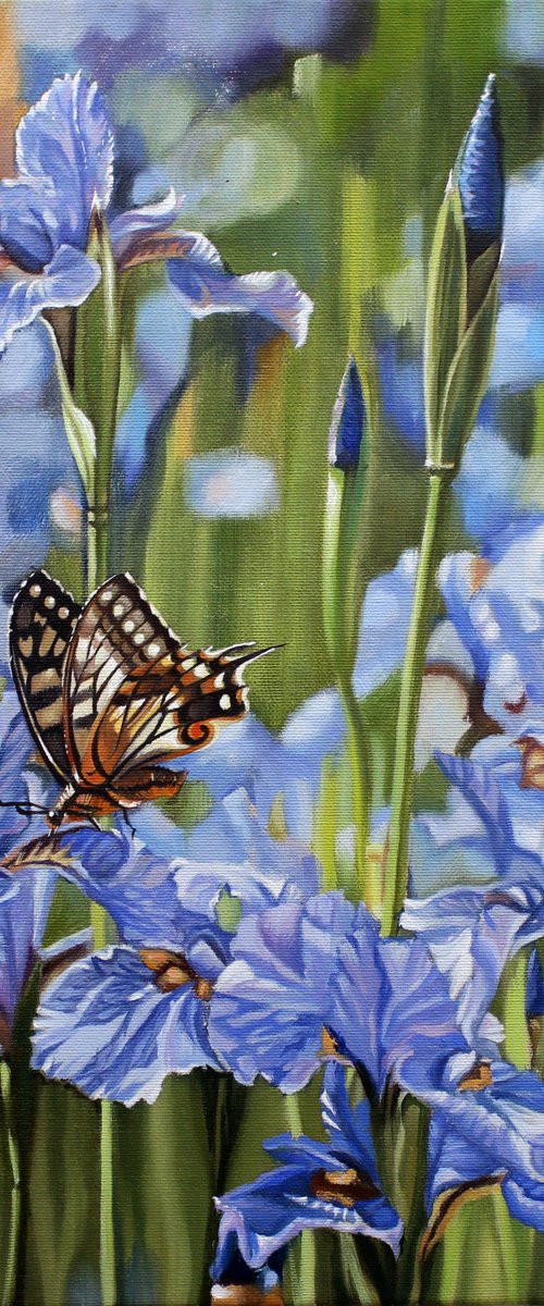 Irises by Volodymyr Melnychuk