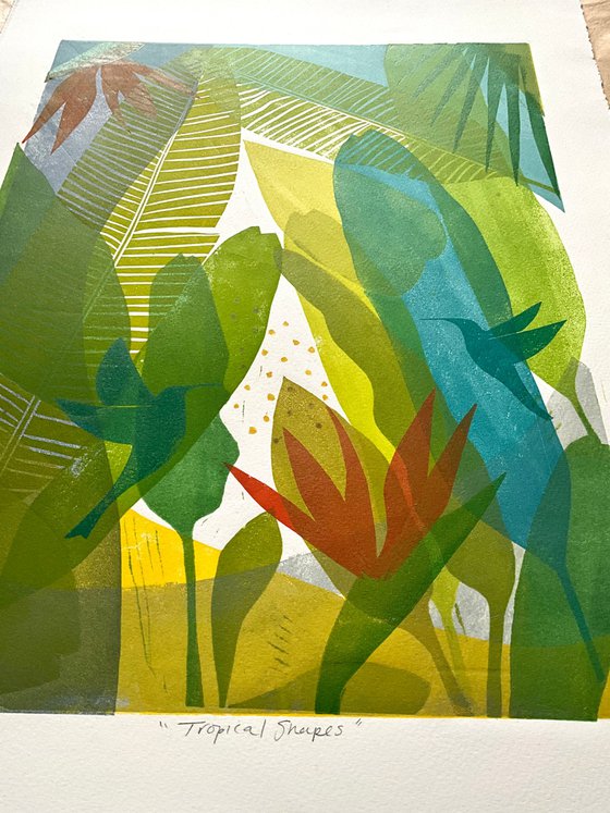 Tropical Shapes