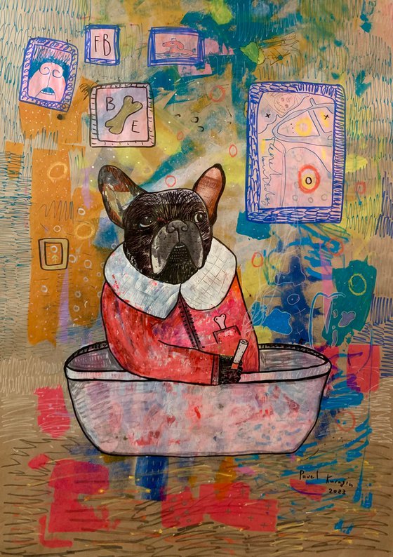 French bulldog in the bathroo