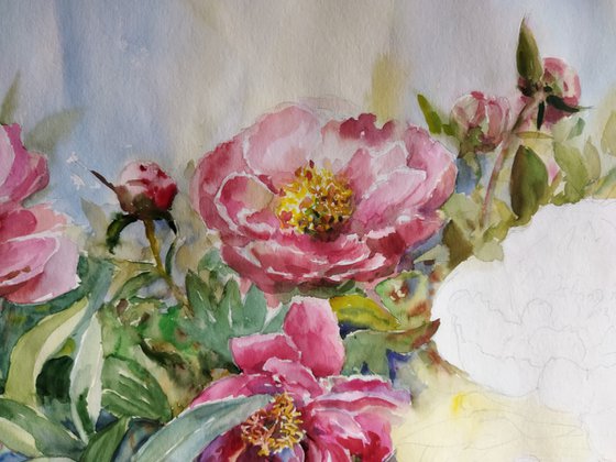 Pink peonies