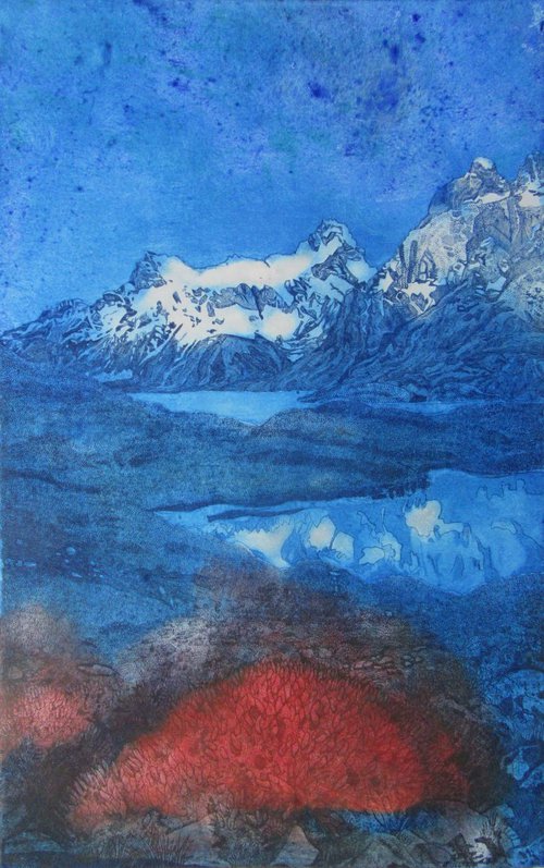 The Fire Bush, Torres Del Paine National Park, South America (Colour3) by Francesca Learmount at Cicca-Art