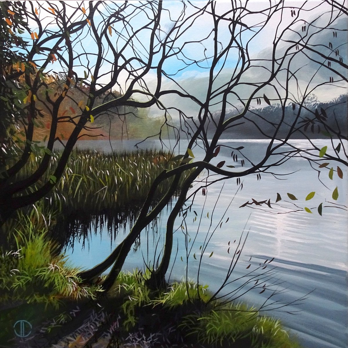 Still Winters Day Hillsborough Lake by Joseph Lynch