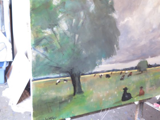 Cow Meadow