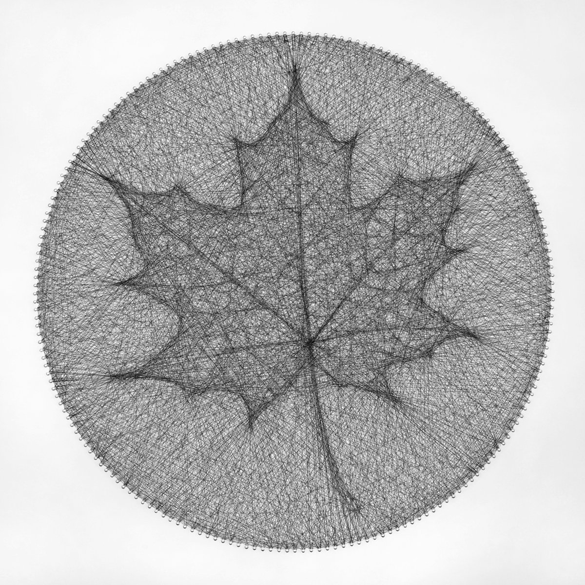 Organic Botanical Sculpture By Andrey Saharov, 22 X 22, Humble Dazzle Of Autumn, Original Artwork