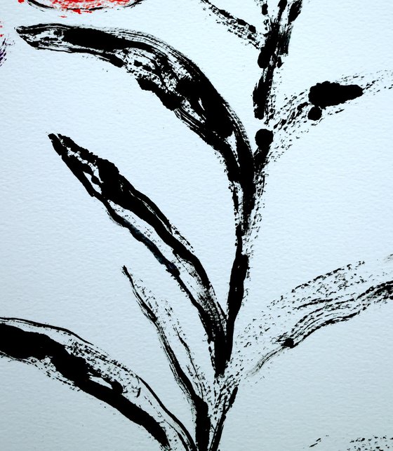 Lily