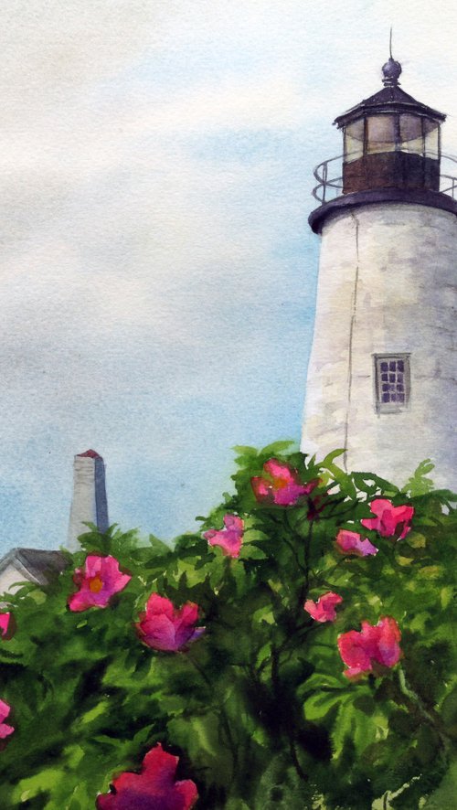 Sailor's Valentine - Pemaquid by Olga Beliaeva Watercolour
