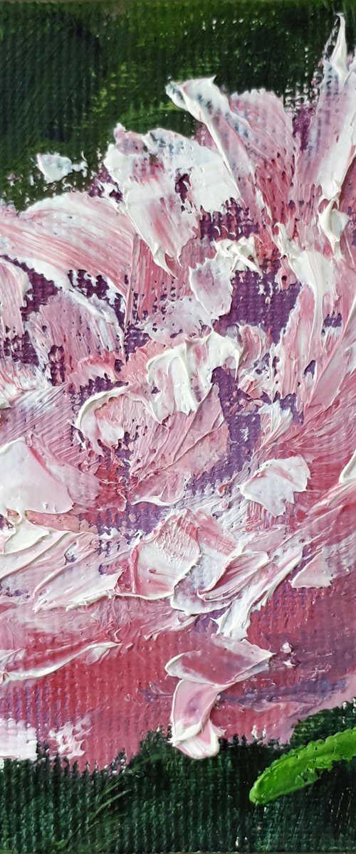 Peony 03... / FROM MY A SERIES OF MINI WORKS / ORIGINAL OIL PAINTING by Salana Art Gallery