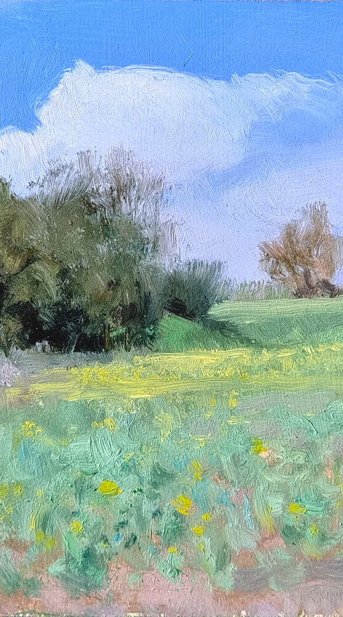 Meadow in Provence by Pascal Giroud