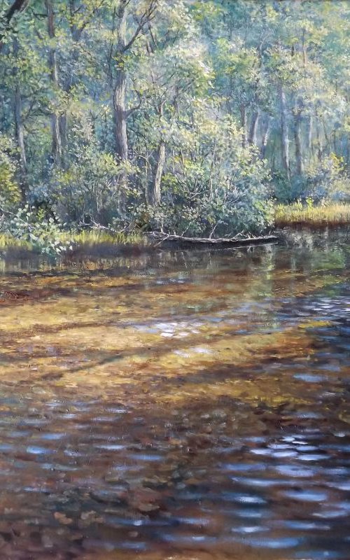 River on a Sunny Day by Oleg Riabchuk