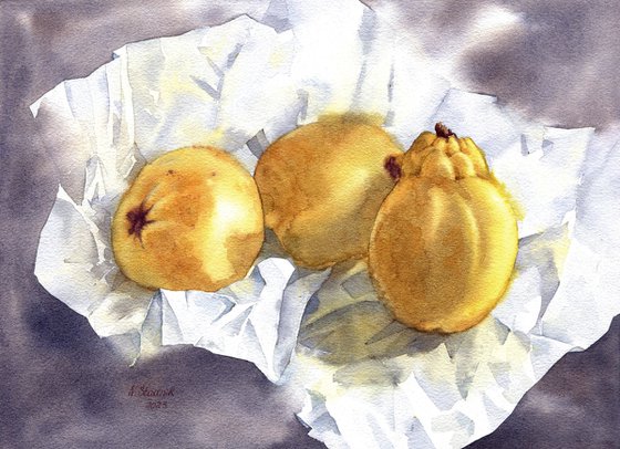 Ukrainian watercolour. Quince on paper