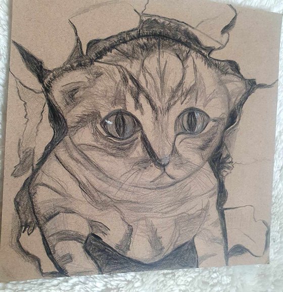 Hello Pussycat! | Cat Drawing with Pencil and Black Pencil Colour