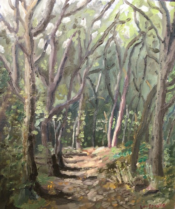 Woodlands walk, An original oil painting.