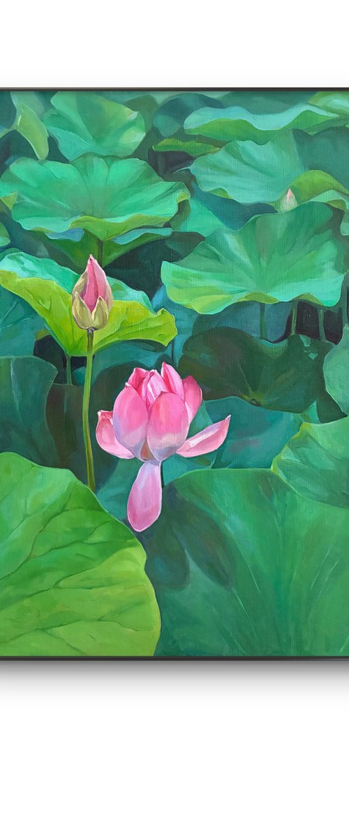 Lotuses. Pond. Time of youth by Guzel Min