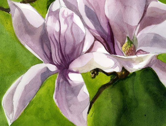 sign of spring