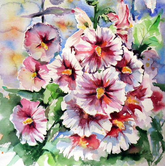 Mallow flowers