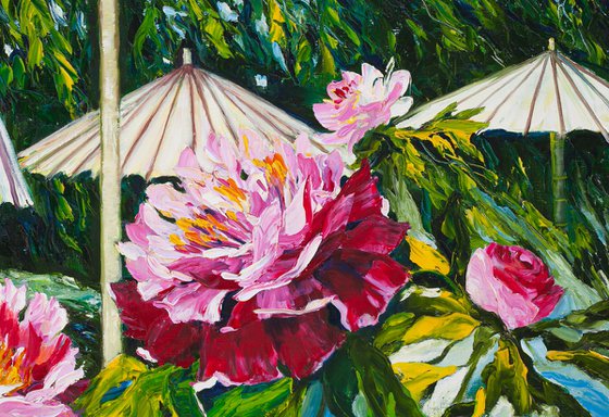 Umbrellas for Peonies