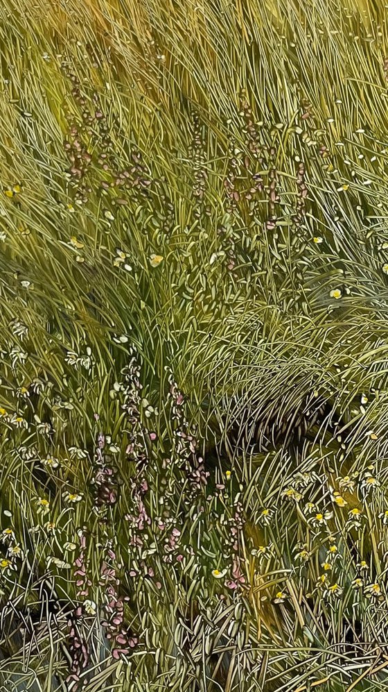 wildflowers and grasses