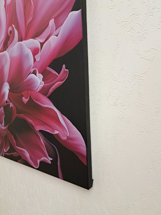 Energy of Pink Blossoming