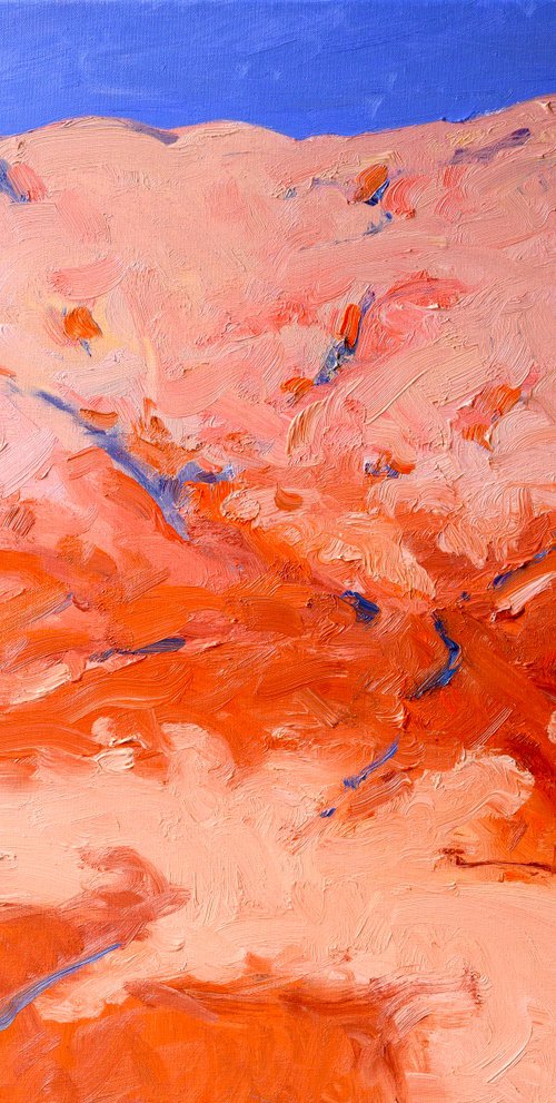 The Pink Hill of the Desert by Suren Nersisyan