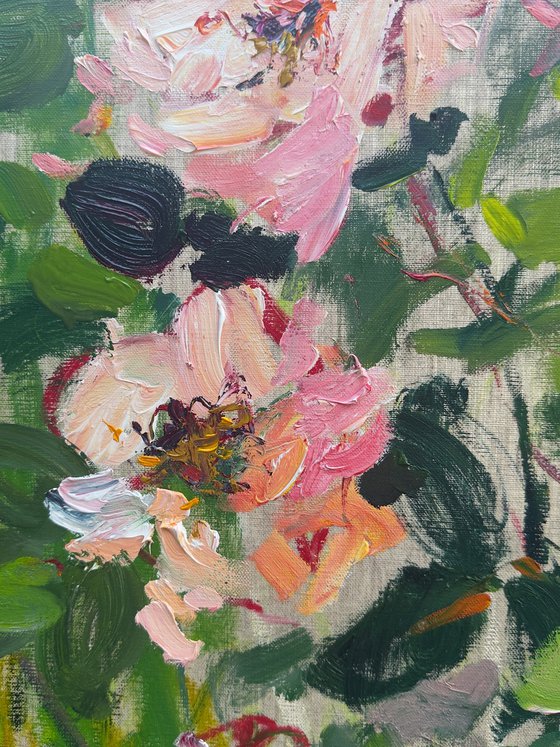 Roses in a summer garden