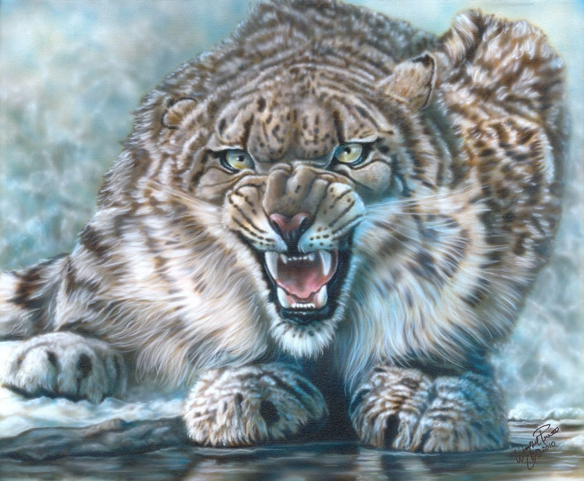 Snow Leopard by Wayne Pruse
