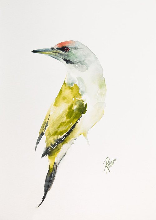 Grey-headed Woodpecker (Picus canus) by Andrzej Rabiega