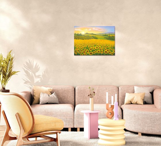 Sunrise on sunflowers
