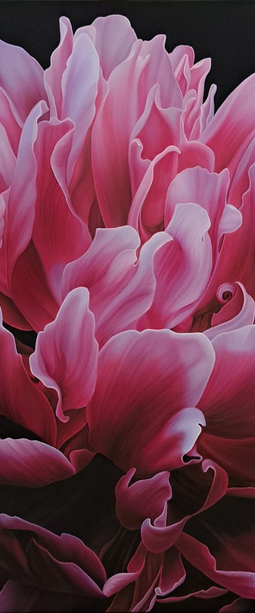 Energy of Pink Blossoming by Anna Steshenko