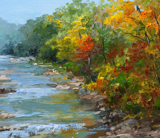 Forest creek.
