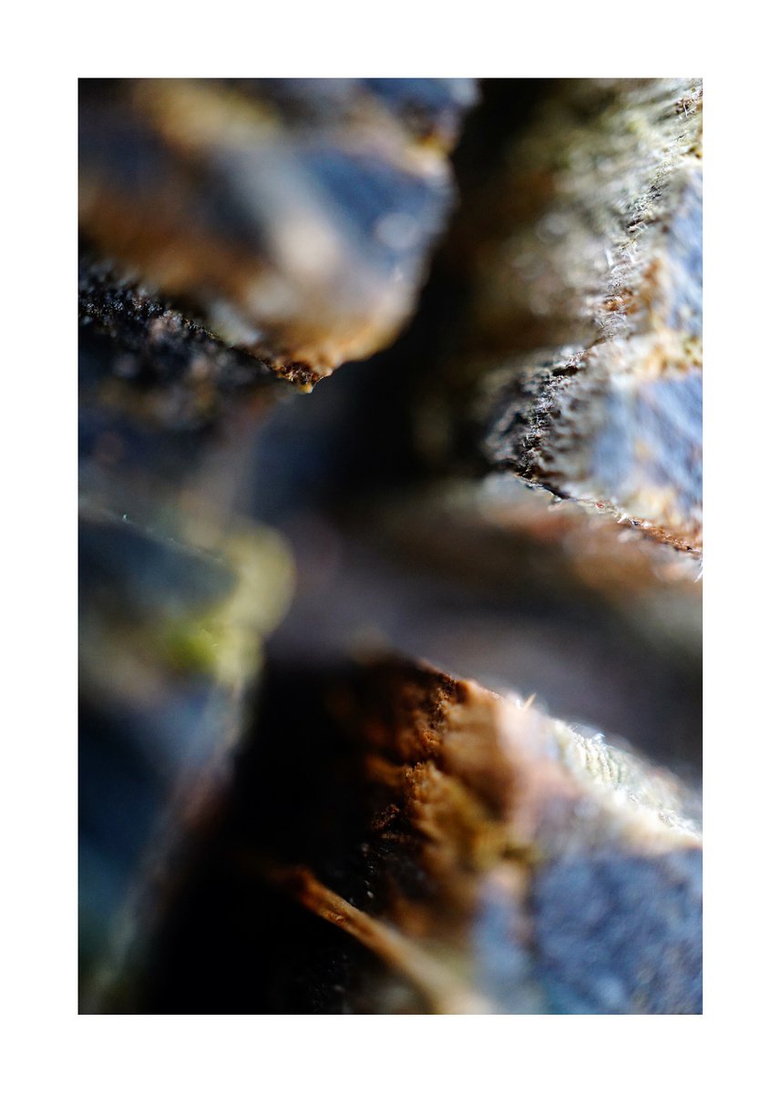 Abstract Nature Photography 132 (LIMITED EDITION OF 15) by Richard Vloemans