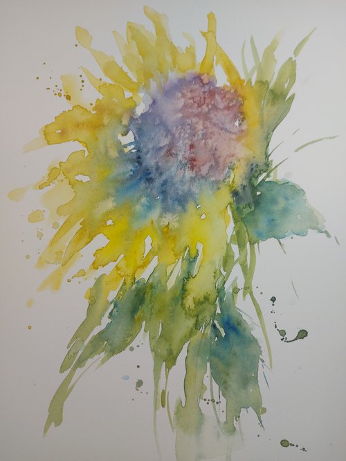 Sunflower by Sue  Green