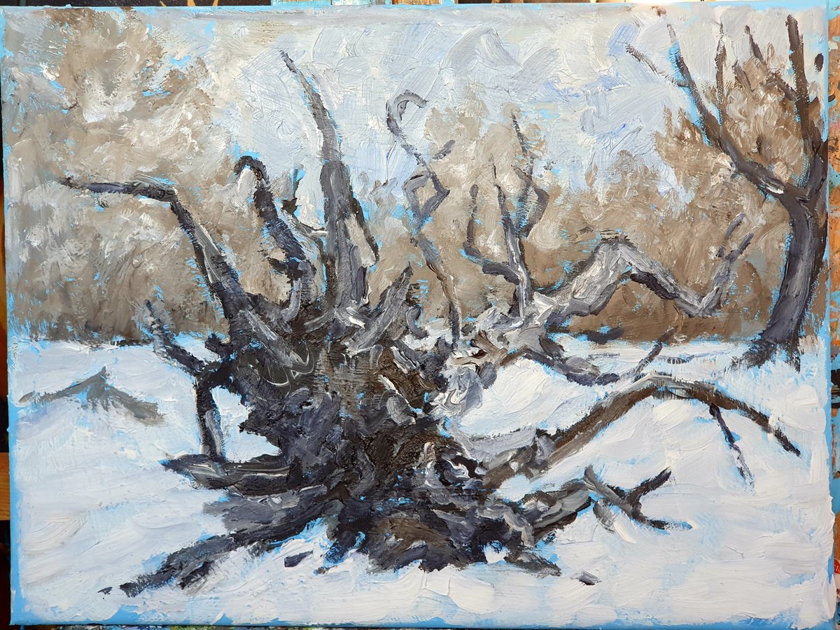 Dead trees  in winter 3 by Colin Ross Jack