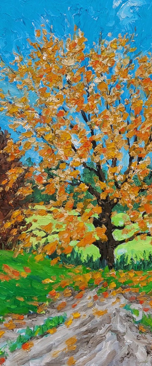 autumn tree #2 by Colin Ross Jack