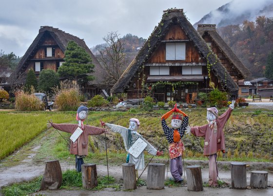 FUN IN SHIRAKAWA-GO