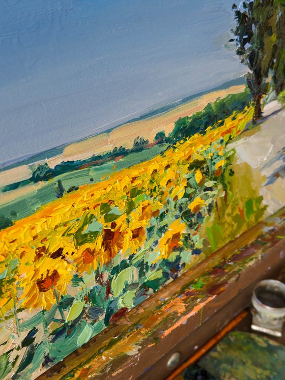 Sunflower Field