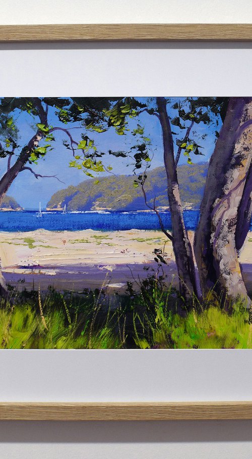 Patonga Beach Australian coastline by Graham Gercken