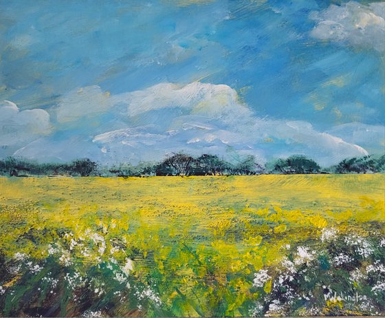 Yellow Field of Summer, Oxfordshire