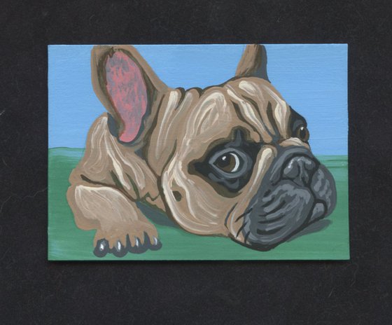 ACEO ATC Original Miniature Painting Tan French Bulldog Pet Dog Art-Carla Smale