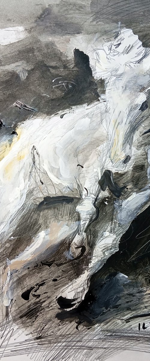 Galloping horse (11-25) by Catalin Ilinca