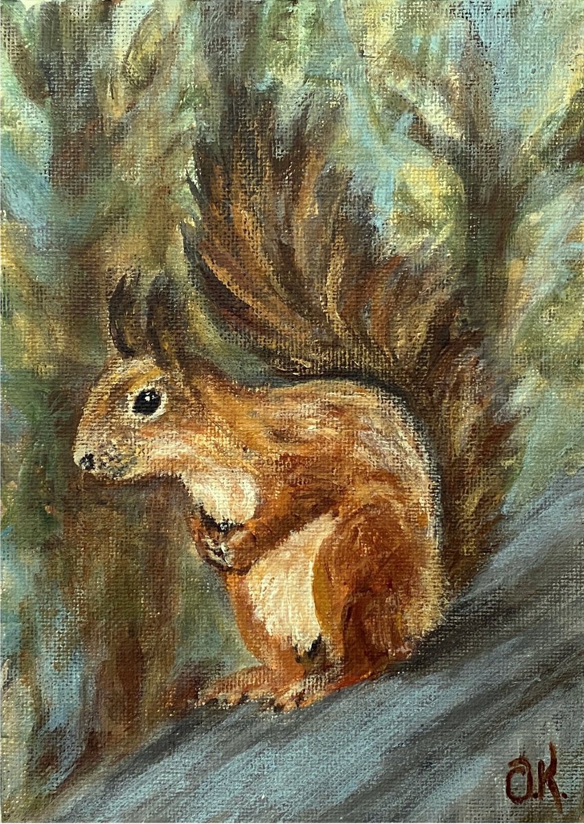 Squirrel by Olga Kurbanova