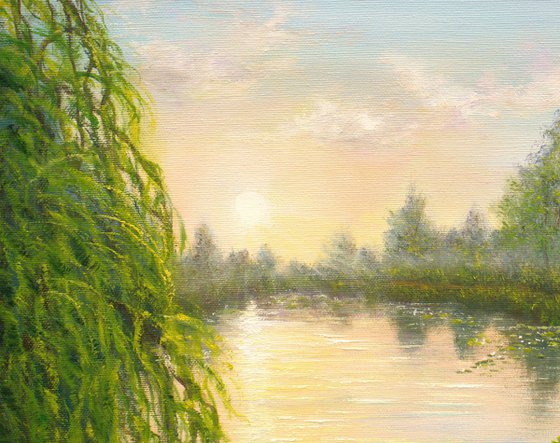 Serene lily pond