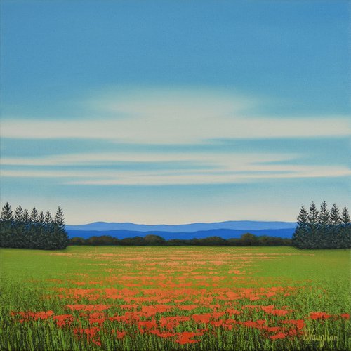 Field of Spring Poppies by Suzanne Vaughan