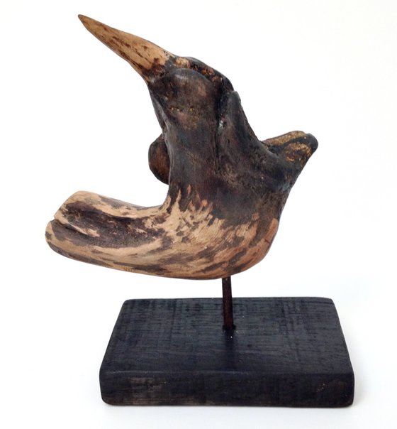 Bird Calotte